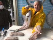 Reklamı Kapat     Reklamı Kapat Kofana balığı 300 liradan 80 liraya düştü