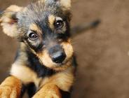 Bunu nasıl yaparsınız?