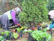 Reklamı Kapat     Reklamı Kapat Çatalca’da çiçekler açıyor