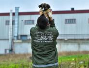 ESENYURT BELEDİYESİ HAYVAN DOSTLARINI UNUTMUYOR