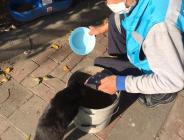 AVCILAR SOKAK HAYVANLARININ YANINDA