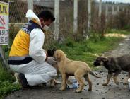 “Siz Evde Kalın, Can Dostlar Bize Emanet”
