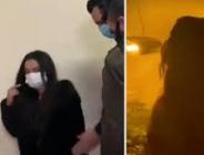 Emlakçı dükkanının altını uyuşturucu serasına dönüştüren kadından ilginç savunma