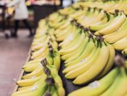 Kanada’da kokain dolu muzlar yanlışlıkla marketlere gitti