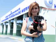 Bağcılar’da 8 bin 506 sokak hayvanı tedavi edildi