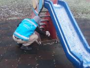 AVCILAR BELEDİYESİ KIŞ AYLARINDA MAMA DESTEĞİNİ ARTIRDI