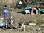 ESENYURT BELEDİYESİ CAN DOSTLARIMIZI YALNIZ BIRAKMIYOR