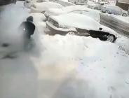 İstanbul’da pitbull dehşeti