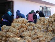 ÜRETİCİNİN ELİNDE KALAN PATATESLER ALINARAK İHTİYAÇ SAHİPLERİNE DAĞITILIYOR