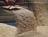 TMO, gıda fiyatlarındaki artışla mücadele için besicilere uygun fiyatlı yem satıyor