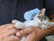 ESENYURT BELEDİYESİ’NDE TEMMUZ AYINDA DA HİZMET MARATONU DEVAM ETTİ