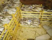 Arnavutköy’de yasadışı balık avcılığına ceza yağdı