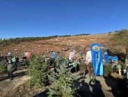 Vali Ali Yerlikaya: “El birliğiyle 8 bin 900 fidanı toprakla buluşturacağız”