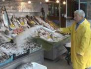 Balıkçı Kenan Balcı: “Bu sene fiyatlar düşecek