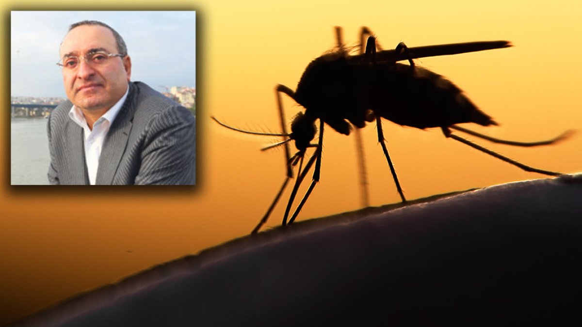 Kadıoğlu: Sivri sinekte bu yıl artış var