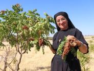 Süryani rahibe, Almanya’dan döndüğü köyünde tarım yapıyor