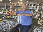 Sezon açıldı, tezgahlar balıkla dolmaya başladı