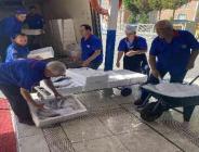 palamut bolluğu başladı 20 lira