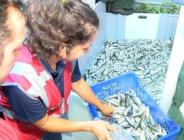 Marmara Denizi’nde avlanan balıkçılar denetlendi