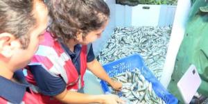 Marmara Denizi’nde avlanan balıkçılar denetlendi
