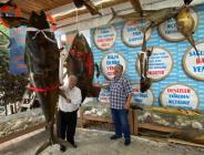 Türkiye Deniz Canlıları Müzesi 50 yıllık dostları buluşturdu