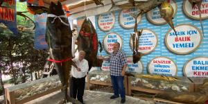 Türkiye Deniz Canlıları Müzesi 50 yıllık dostları buluşturdu