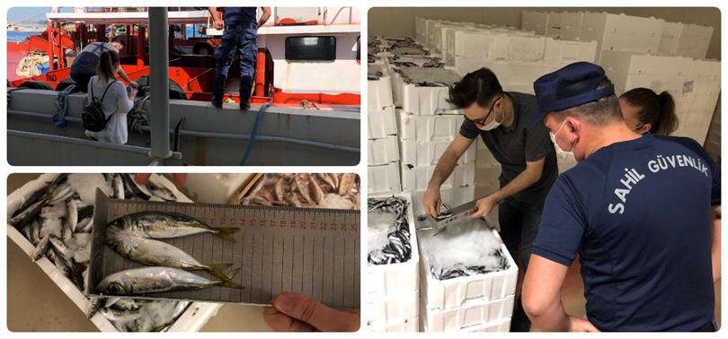 Gurpınar Su Ürünleri Hali’nde balık boyu denetimi