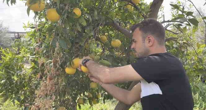 Küçükçekmece Belediyesi’nden Hatay’daki üreticilere destek