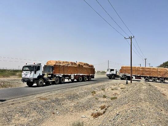 Sudan’a gönderilen 15 konteynerlik yardım malzemesi ülkeye ulaştı