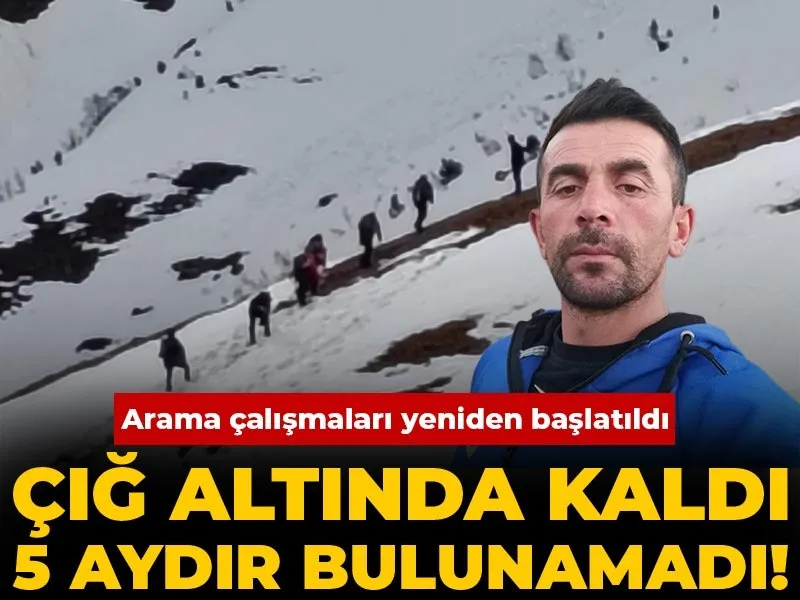 ÇIĞDA KAYBOLDU