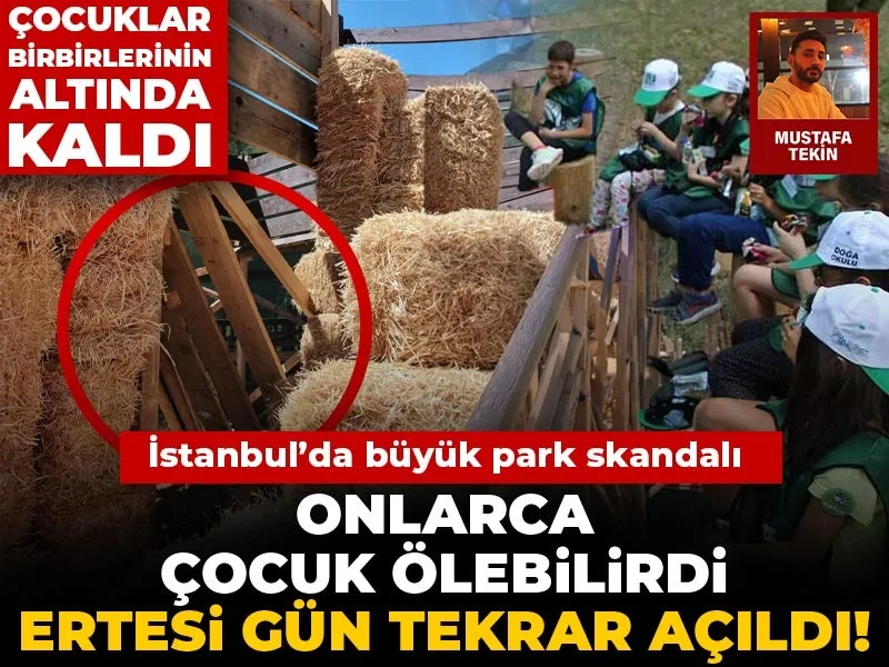 bu ne rezillik